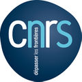 Logo CNRS.jpeg
