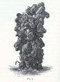 Tower-like cast, reported to belong to ''Perichaeta'' sp.jpg
